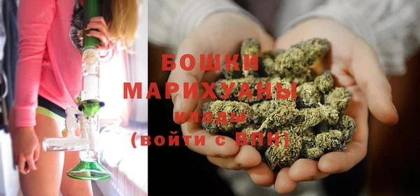 индика Аркадак
