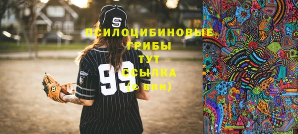 индика Аркадак