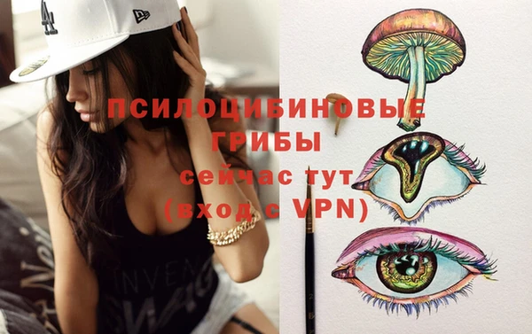 индика Аркадак