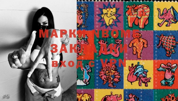 индика Аркадак
