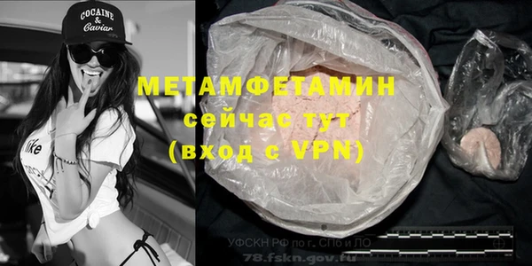 индика Аркадак