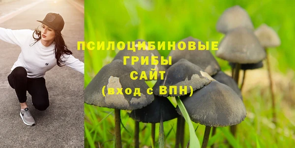 2c-b Армянск